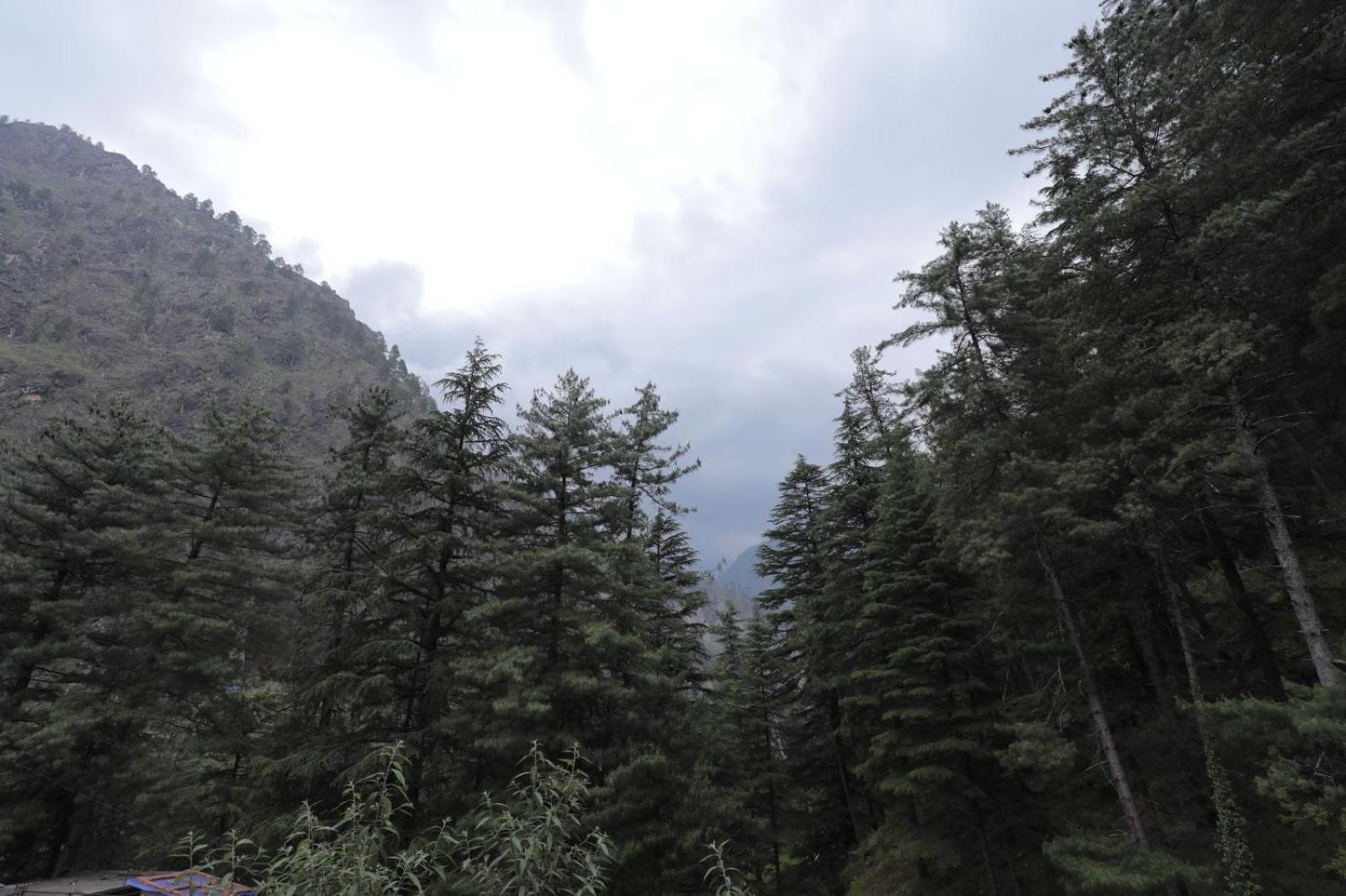Shangri-La Rooms & Restaurant Kasol Bagian luar foto